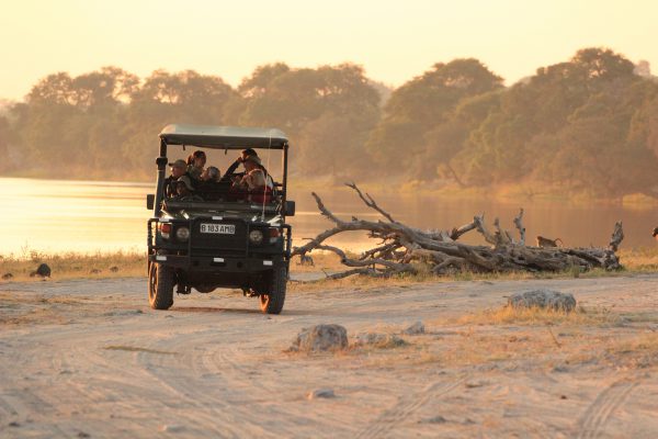 Safari-Jeep Im Moremi NP