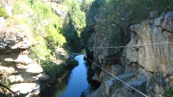 suedafrika-tsitsikamma-zipline