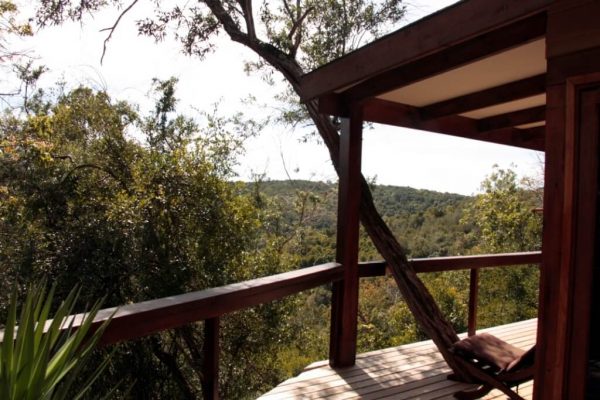 Blick von der Terrasse der Hog Hollow Country Lodge