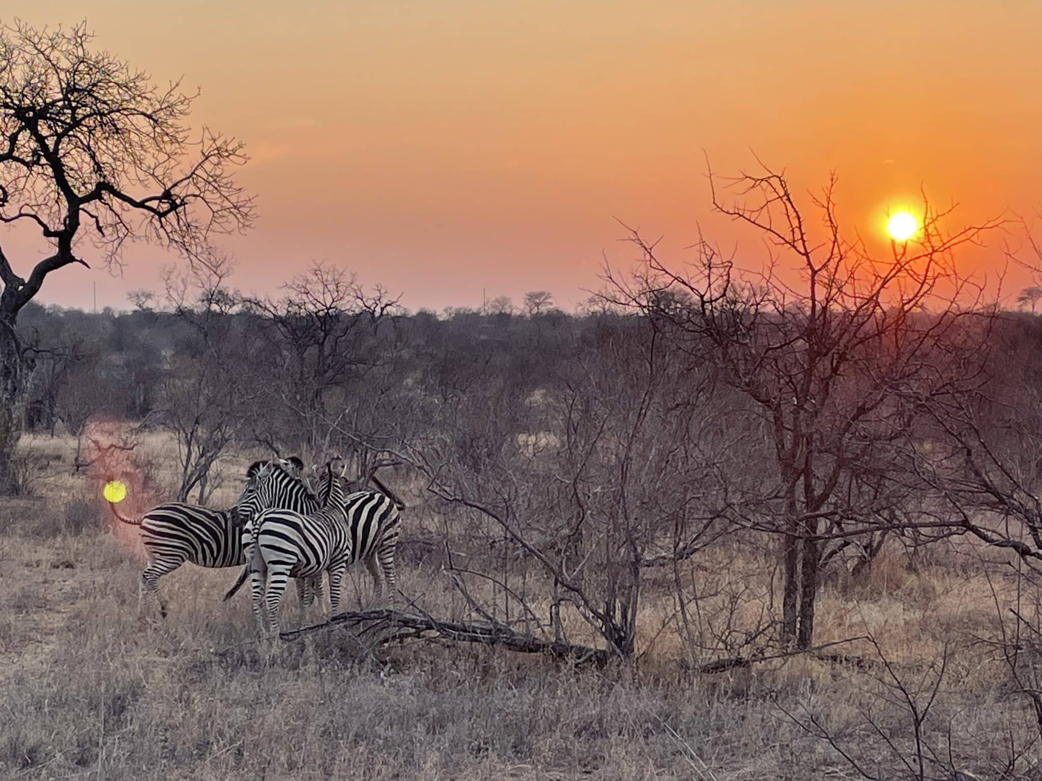 Mietwagenreise Südafrika Highlights