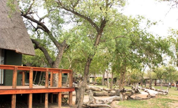 Chalets in der Nkorho Bush Lodge