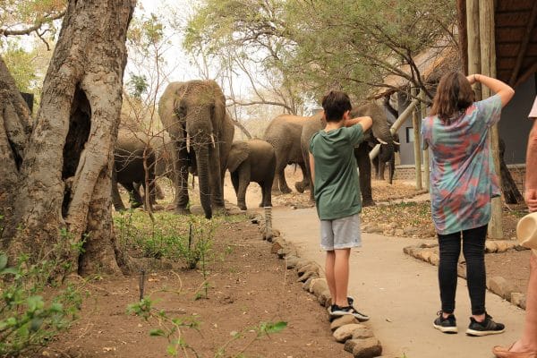 Safaris Mit Kindern