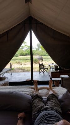 Hotelzelt-Ausblick Auf Elefanten