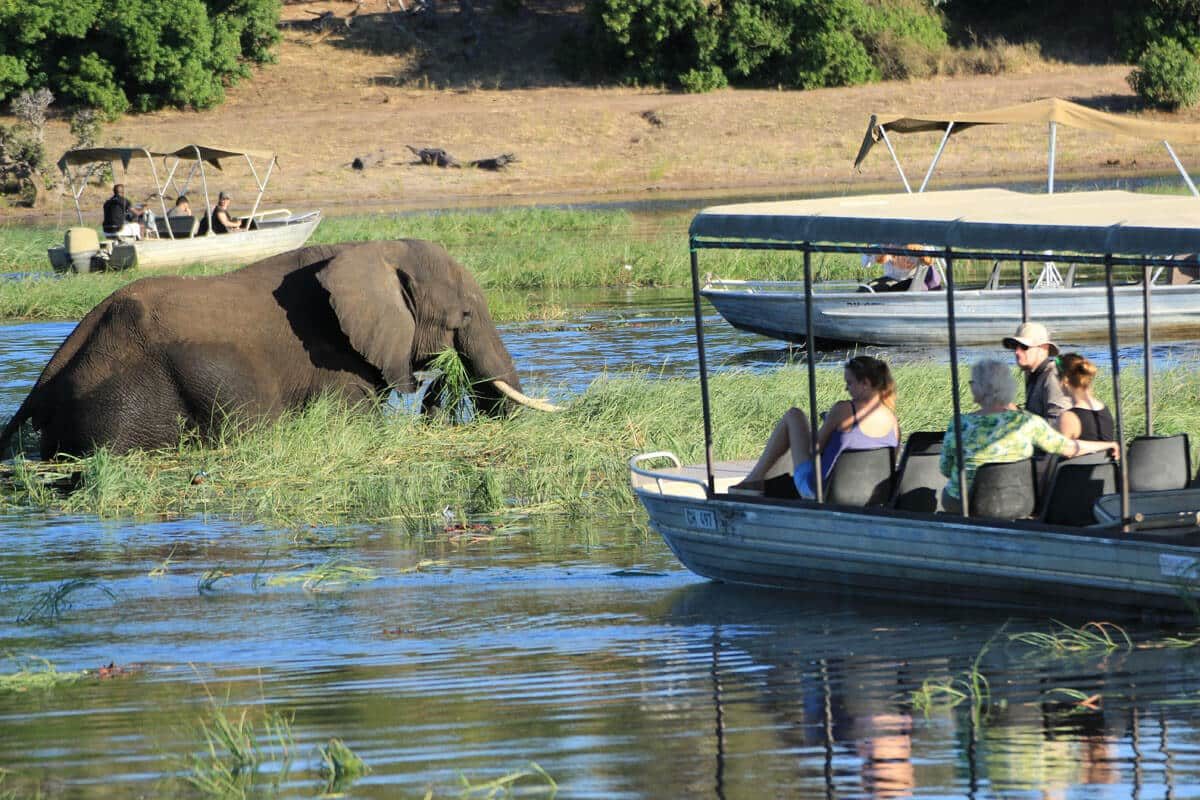 Bootsfahrt auf dem Chobe River