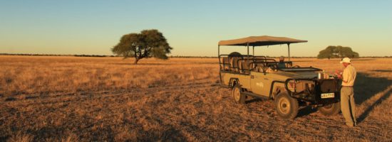 Safari Fahrzeug in der Kalahari