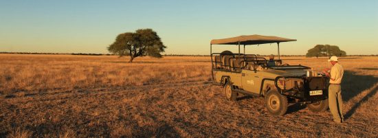 Safari Fahrzeug In Der Kalahari