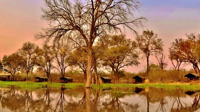 botswana-moremi-game-reserve-khwai-tended-camp