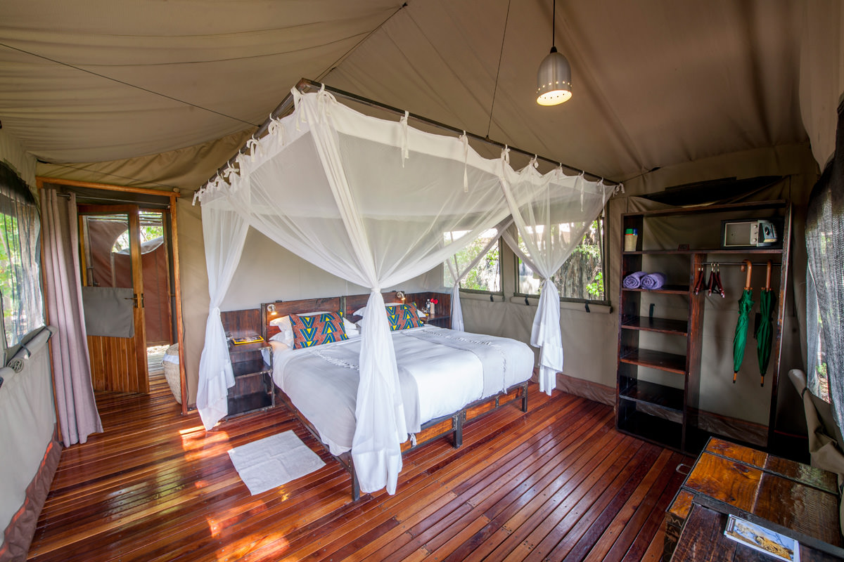 botswana-moremi-game-reserve-sango-camp