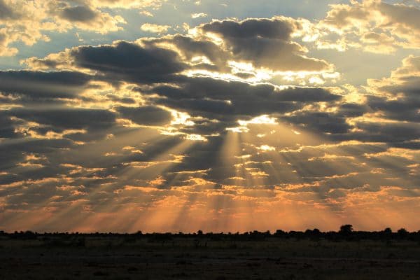 Sonnenuntergang Im Nxai Pan Nationalpark