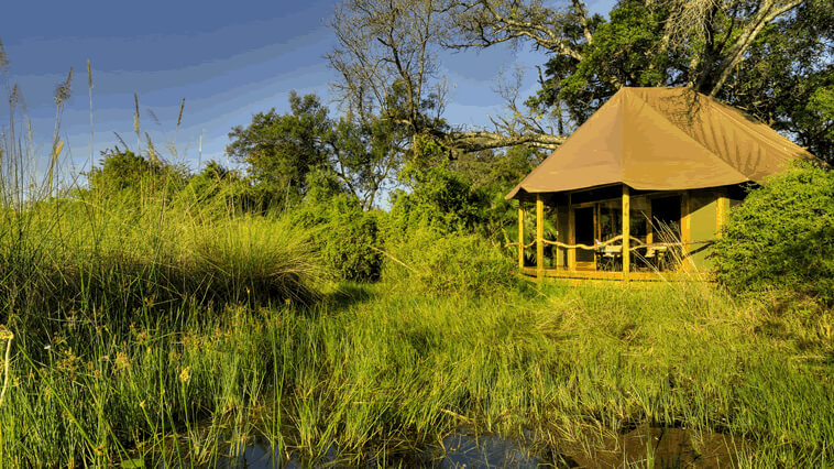 botswana okavango delta kanana camp