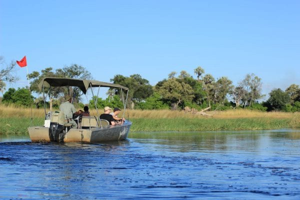 Motorboot Safari Im Okavango Delta