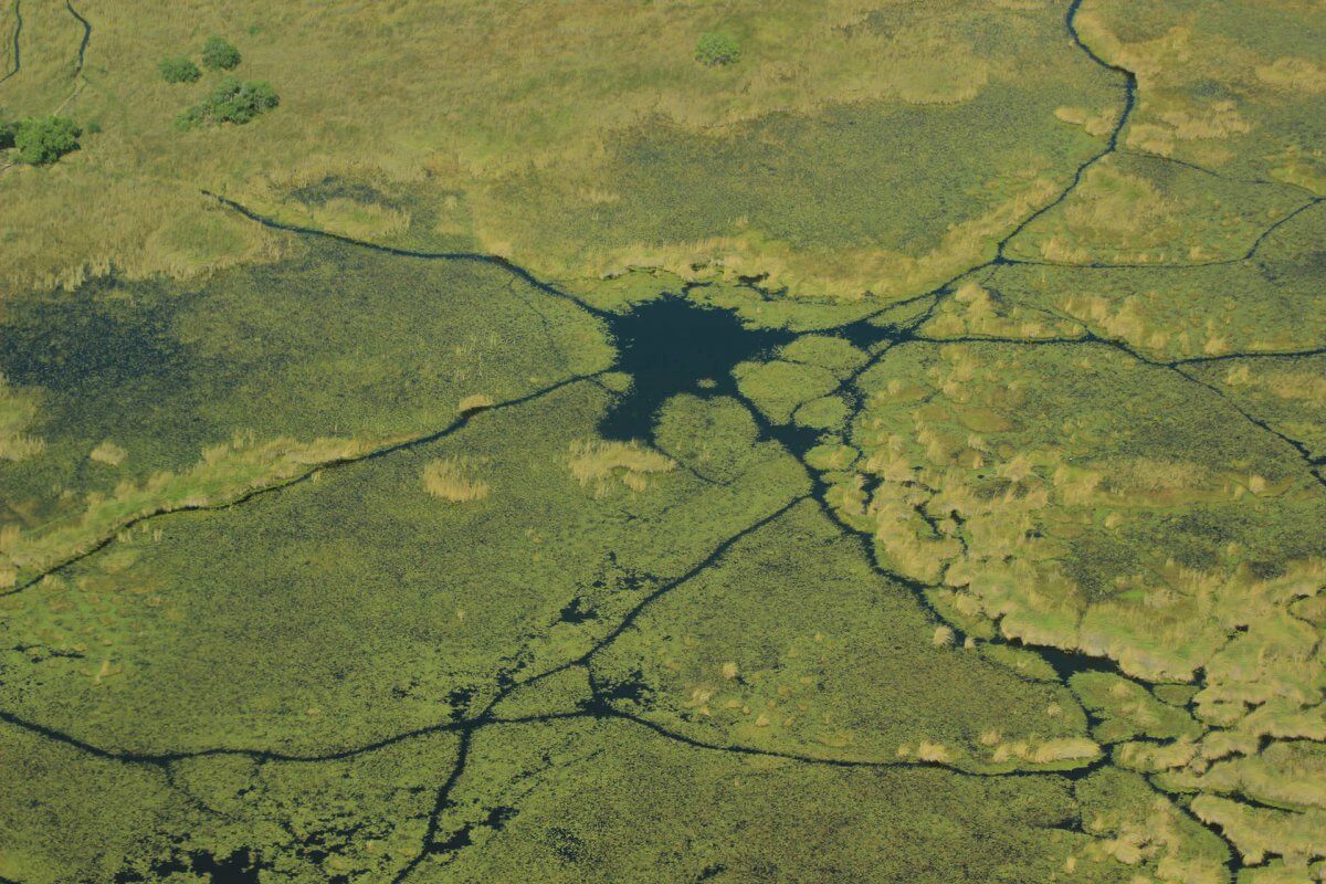 Okavango Delta von oben