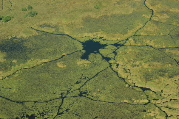 Okavango Delta Von Oben