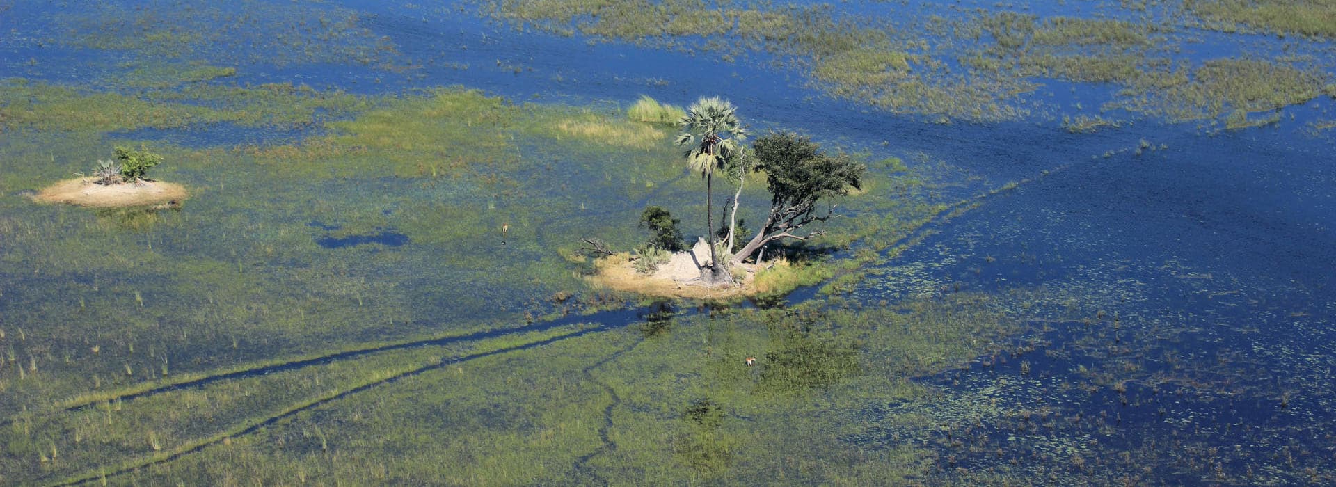 Botswana Reisen ins Okavango Delta
