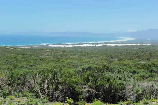 Ausblick Cape Floral Kingdom