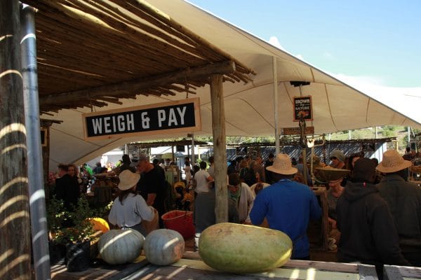Oranjezicht City Farm Market Besucher