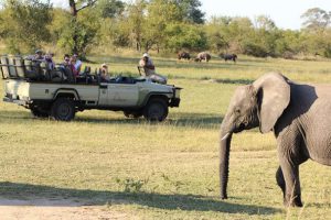 Krüger Park & Garden Route Mietwagenreise Südafrika