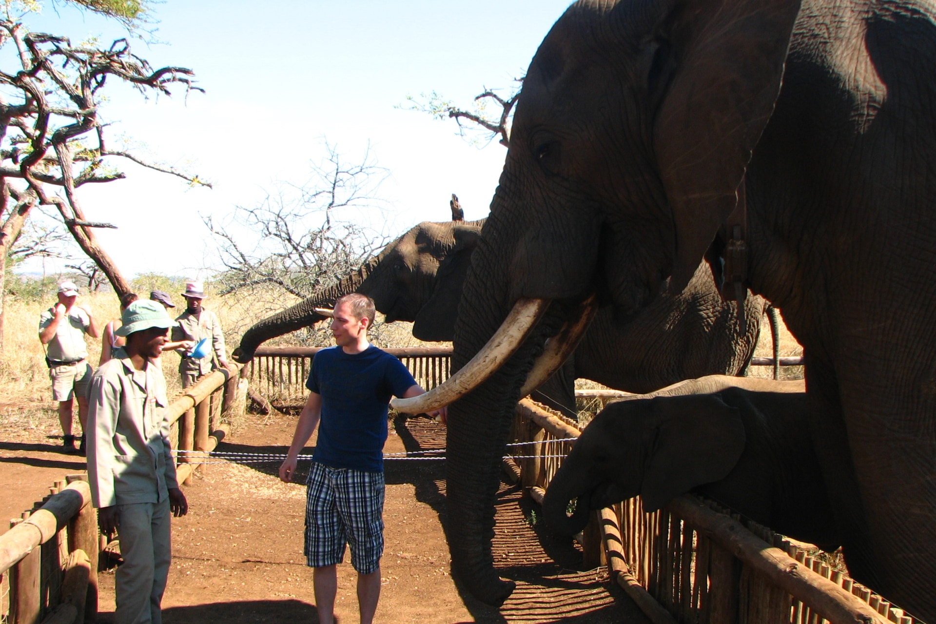 Elefanteninteraktion in Kwazulu Natal