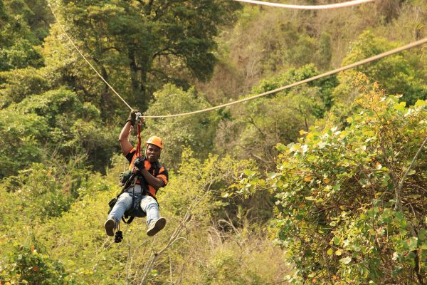 Zipline Durch Die Baumwipfel