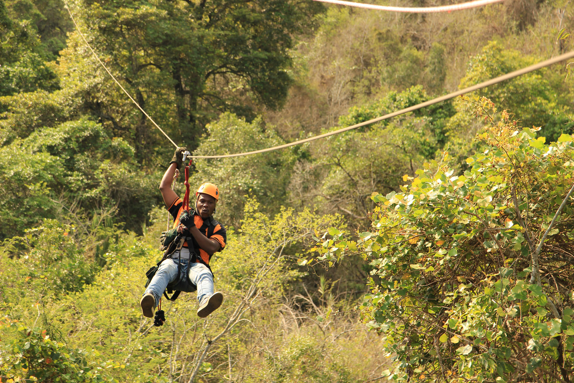 Zipline durch die Baumwipfel