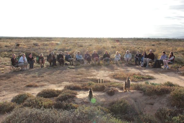 Erdmännchen Tour In Oudtshoorn Mit Meerkat Adventures