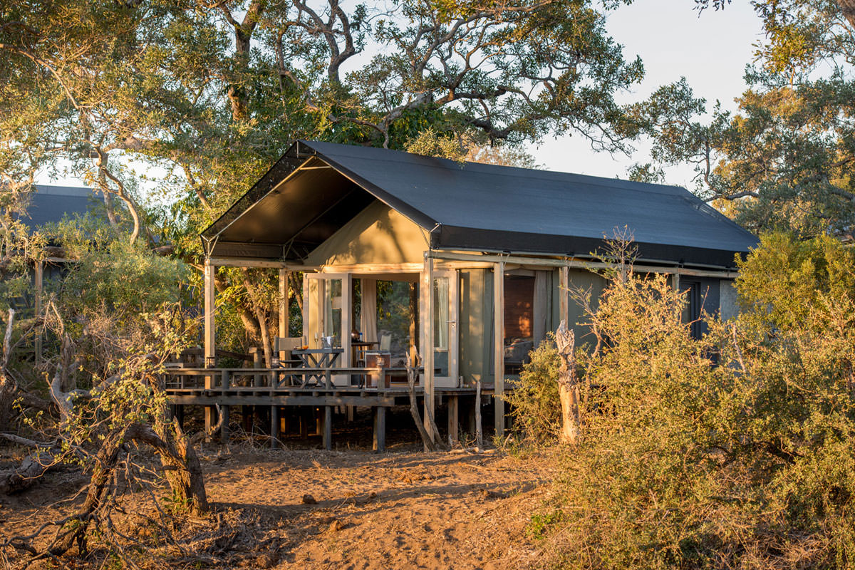 Simbavati River Lodge Zeltansicht
