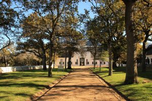 Groot Constantia Weingut