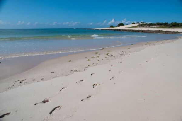 Mozambique Beach Footprints