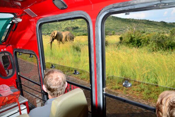 Safaritruck Mit Elefant Im Hintergrund